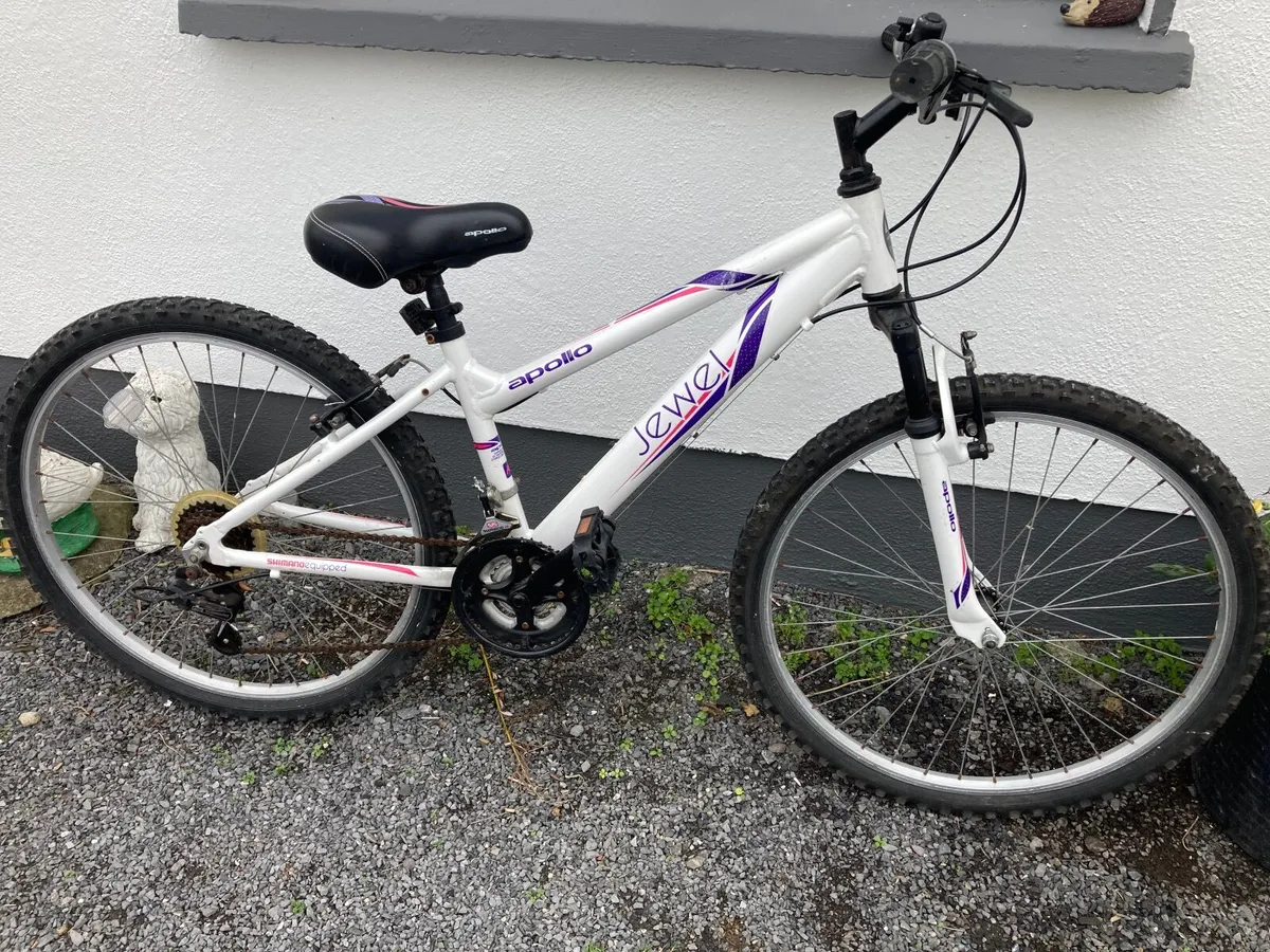Ladies Mountain  Bike - Image 2