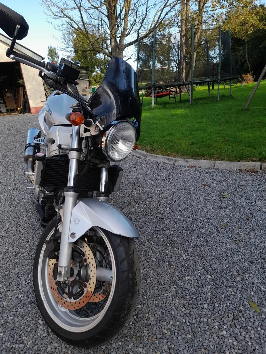 Suzuki SV650N 2003 - Image 3
