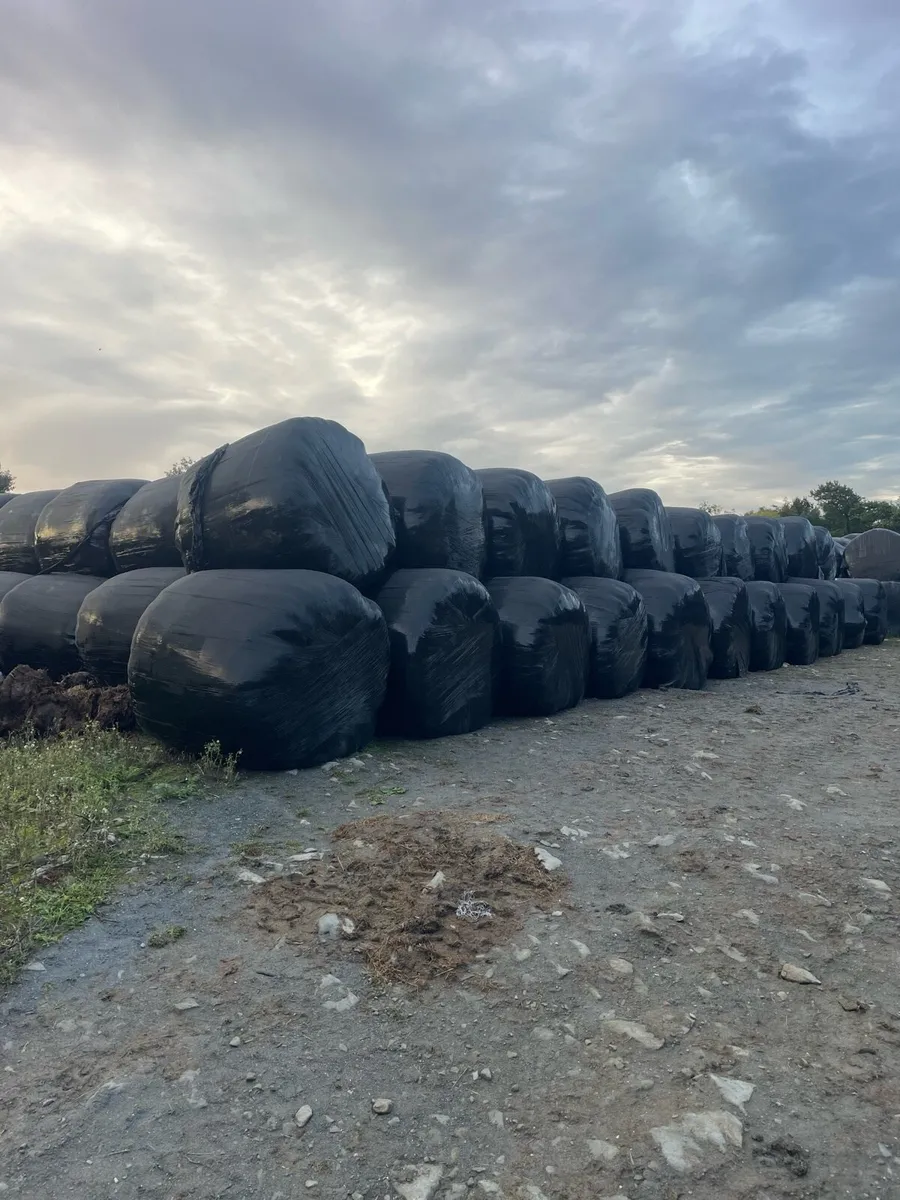 Silage