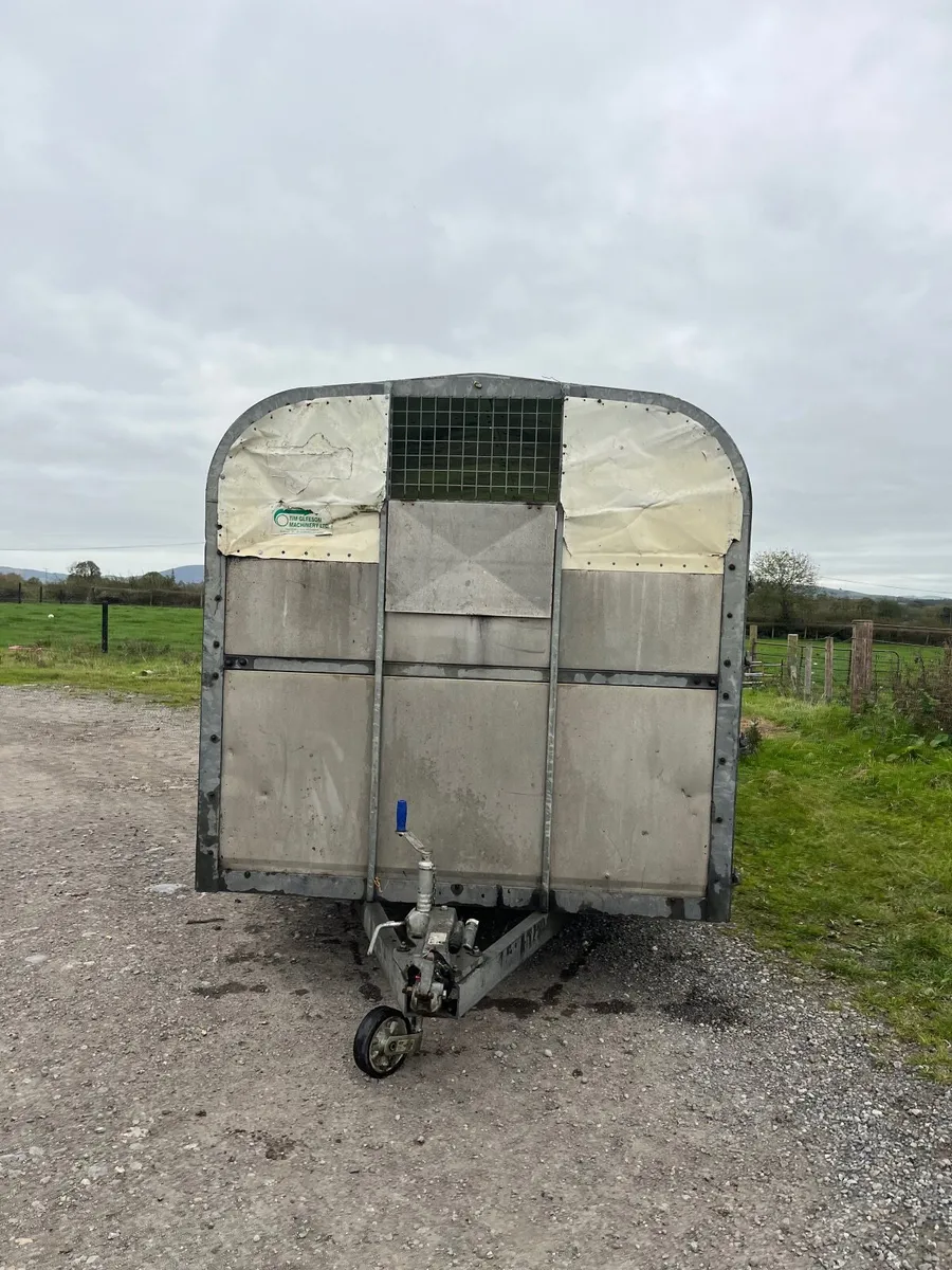 14ft nugent - Image 1