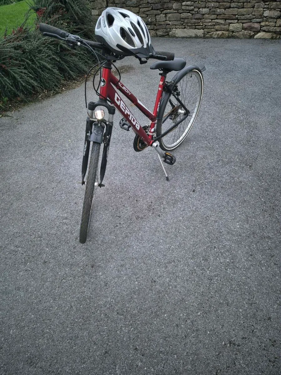 Bicycle - Image 2
