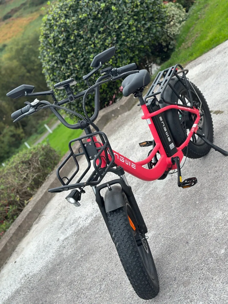 Engwe E bike - Image 1