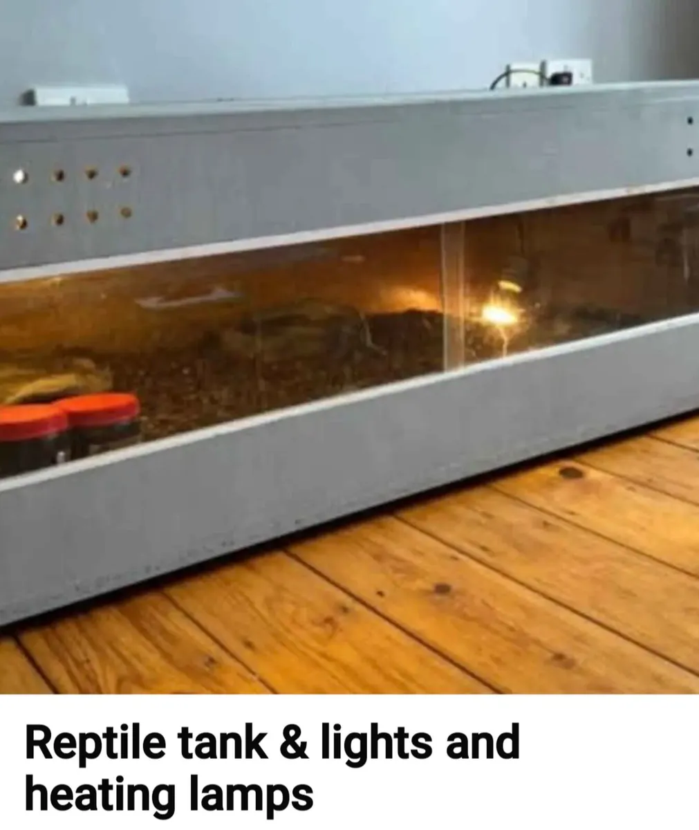 Large Reptile tank & lights and heating lamps