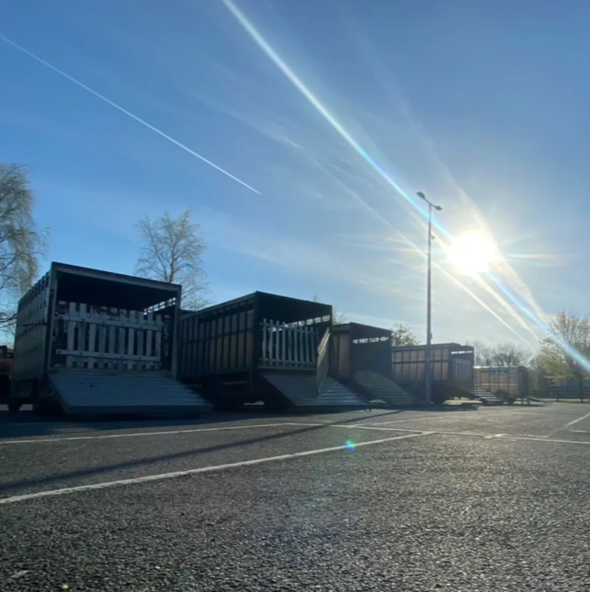 ⭐️🚨⭐️ BALLINASLOE WEANLING FAIR ⭐️🚨⭐️ - Image 1