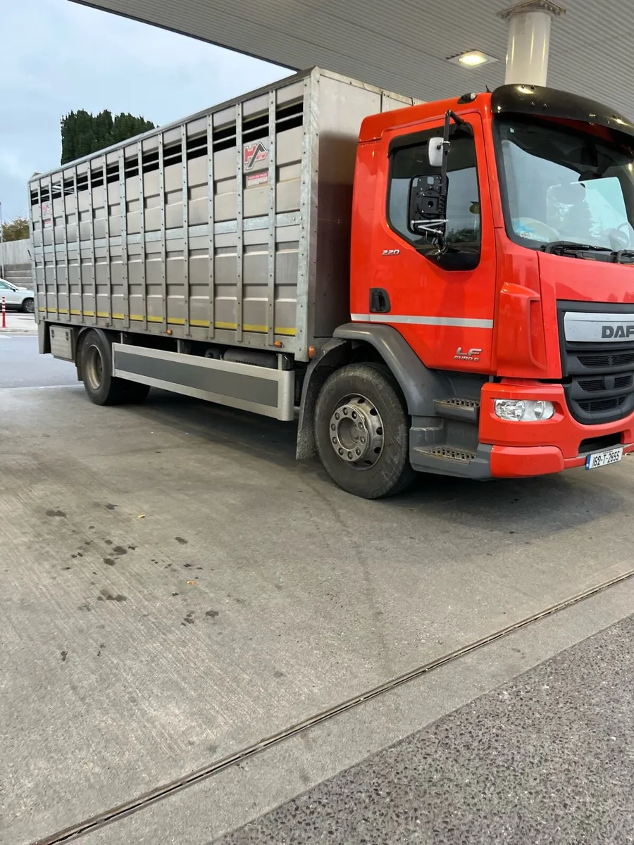 WESTWARD BOUND - THURSDAY 20/11/2025 - Image 1