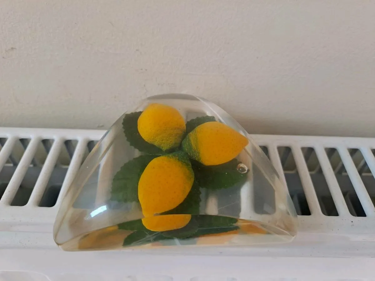 Paperweight with lemons - Image 3