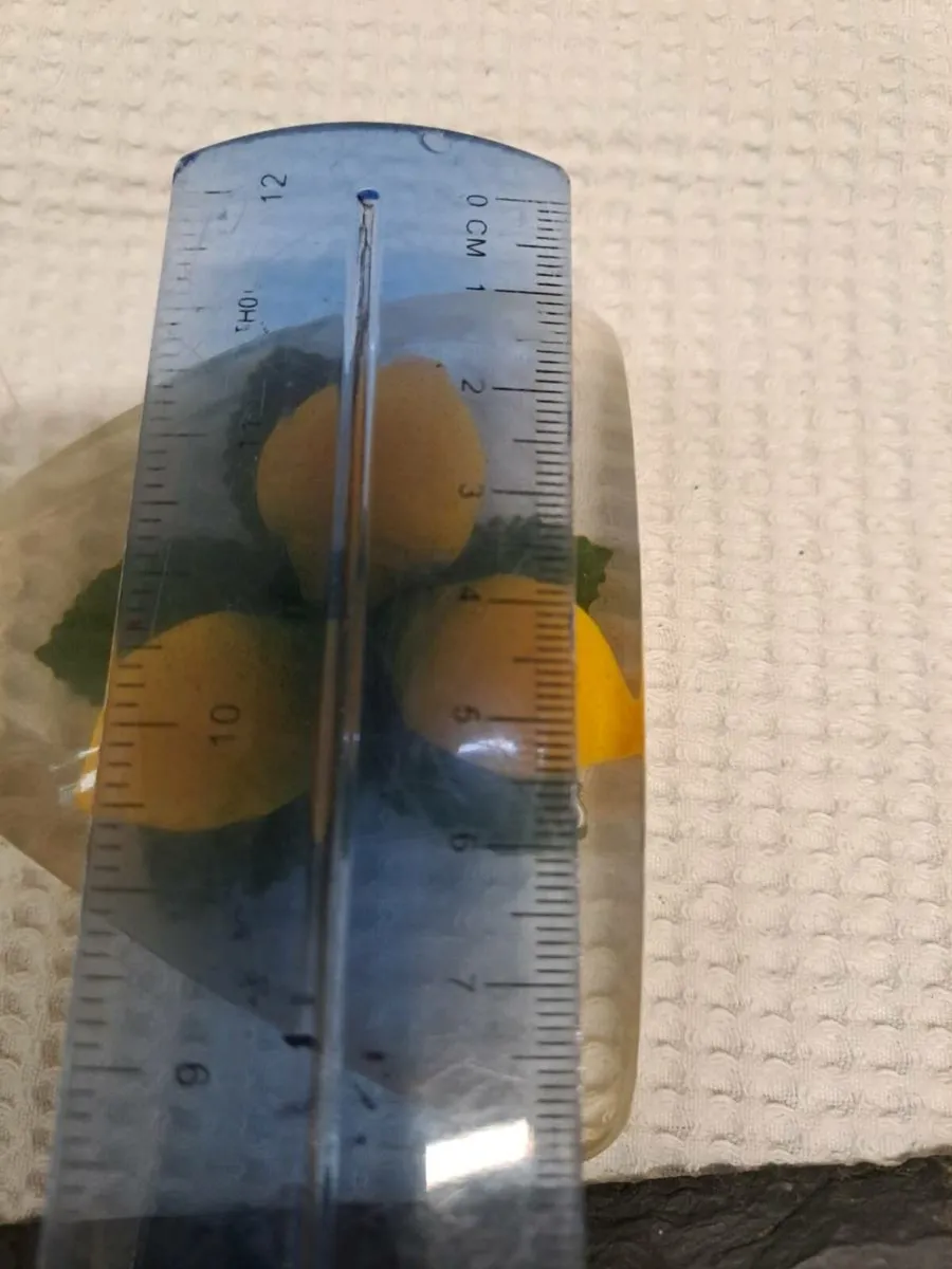 Paperweight with lemons - Image 4