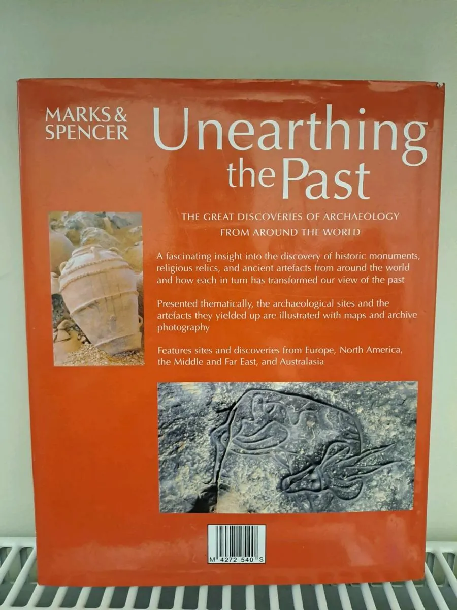 History Unearthing the Past - Image 2
