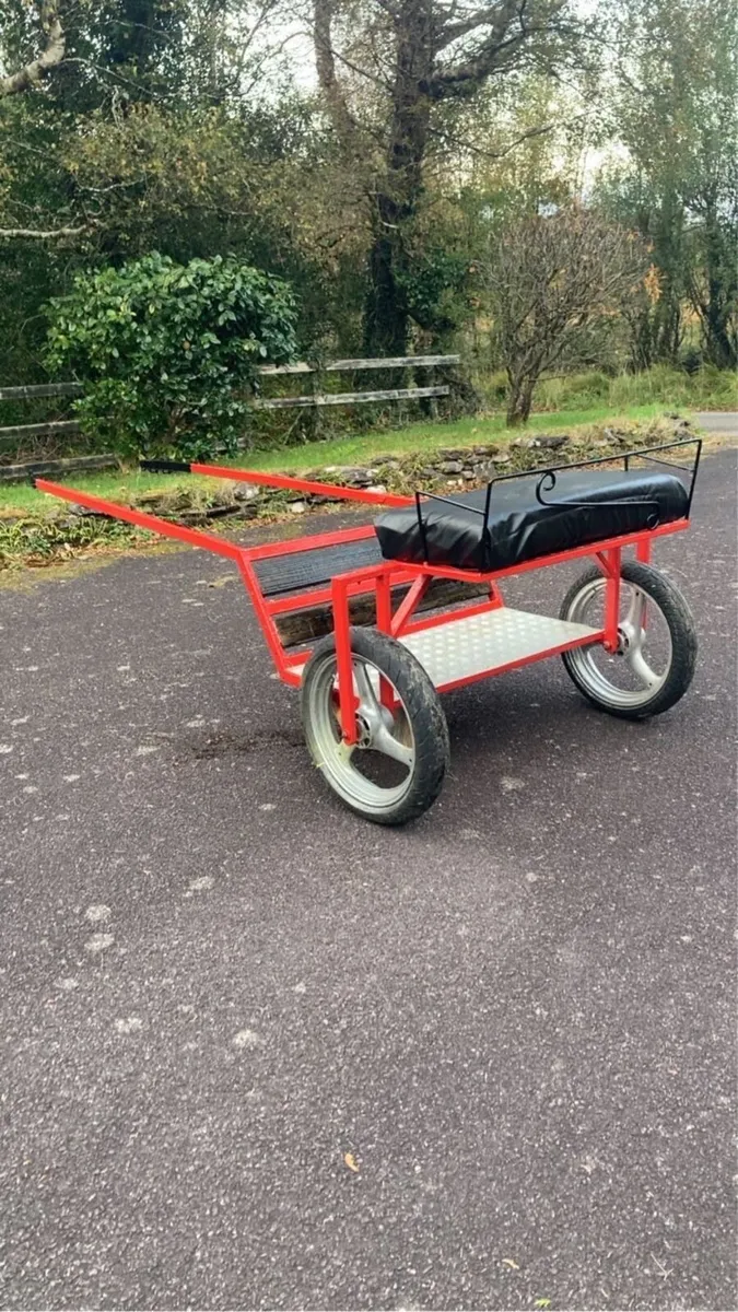Speed cart - Image 2