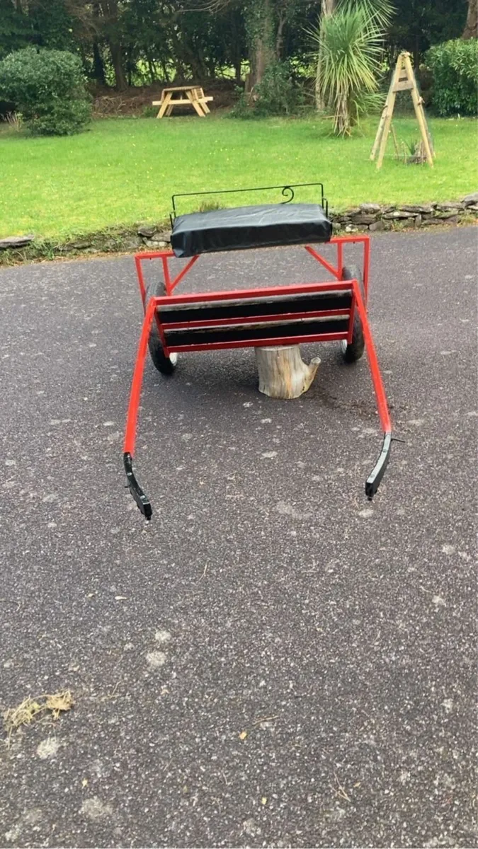 Speed cart - Image 3