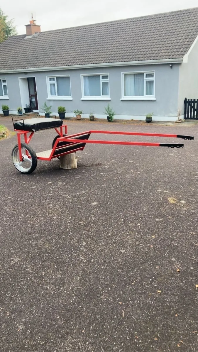 Speed cart - Image 1