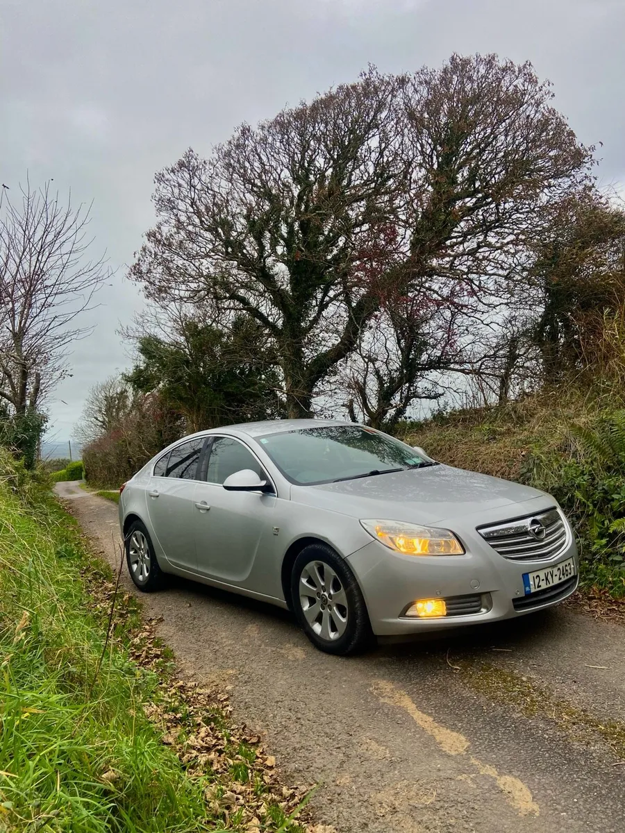 Vauxhall Insignia - Image 1