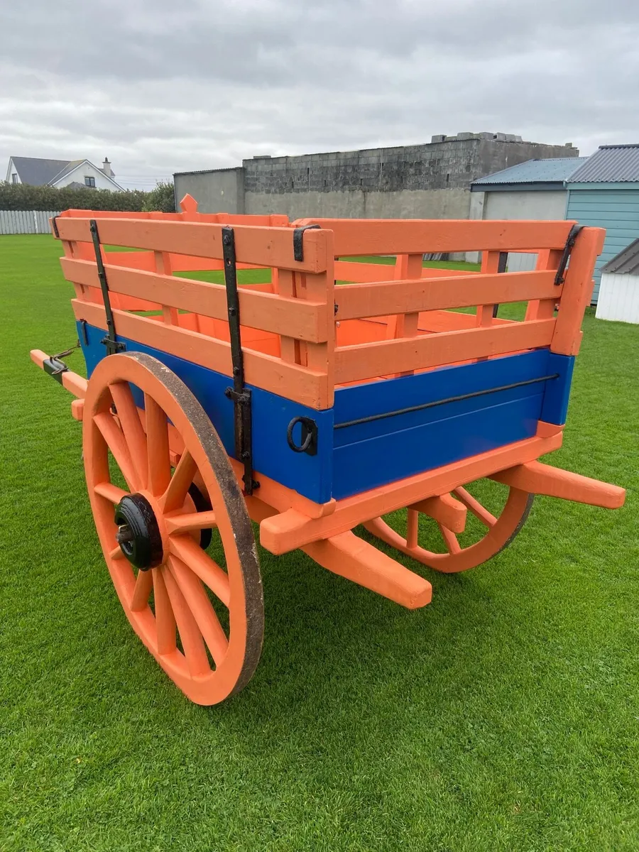 Donkey Cart - Image 4