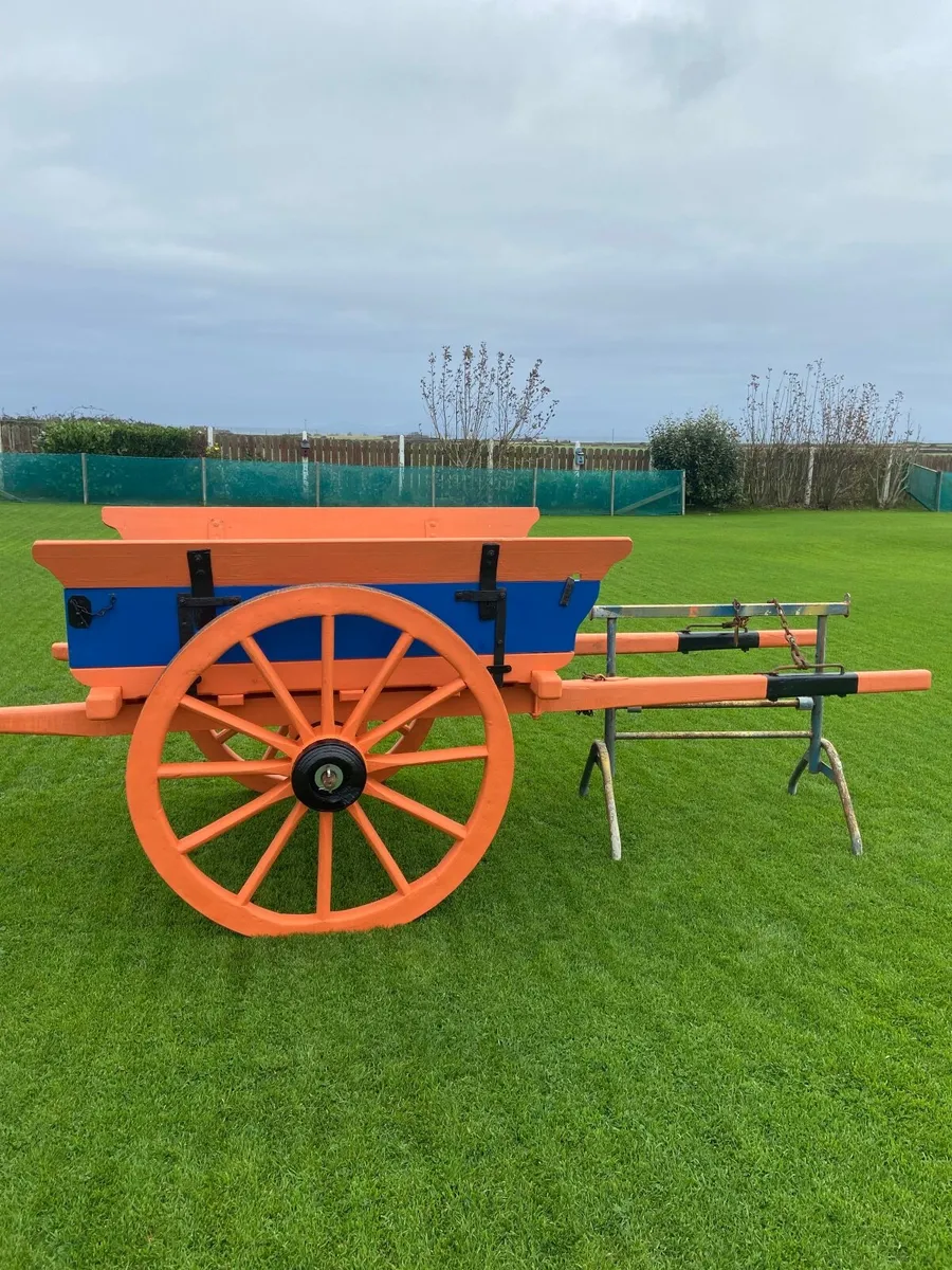 Donkey Cart - Image 1