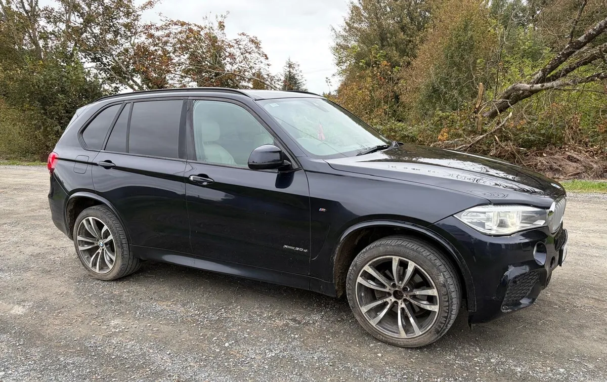 BMW X5 M-Sport new test - Image 4