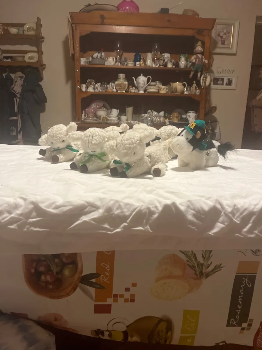 7 sheep and one cow - Image 1