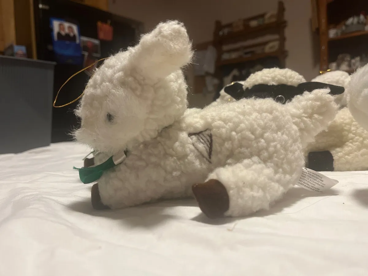7 sheep and one cow - Image 2