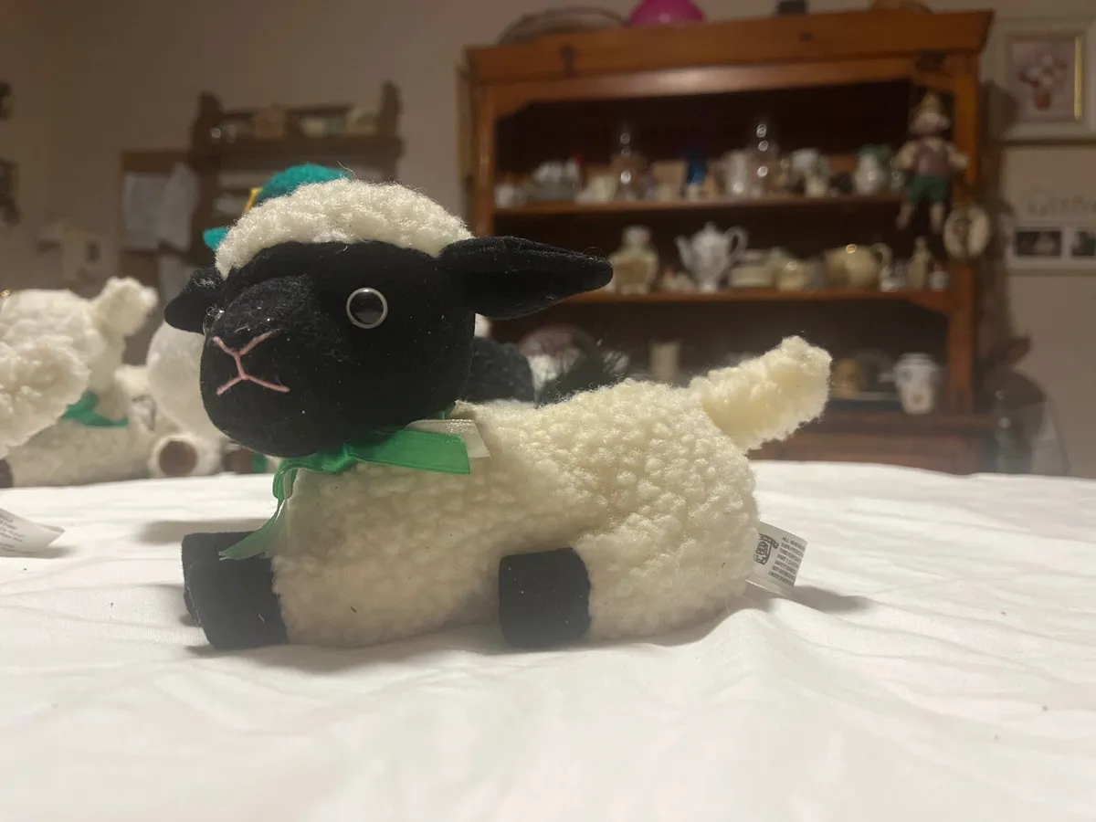 7 sheep and one cow - Image 4