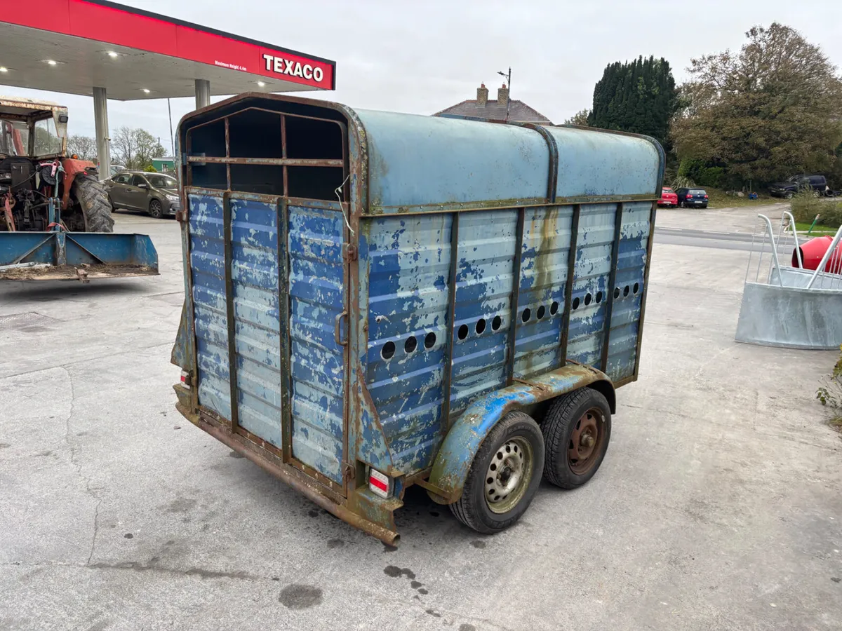 8ft livestock trailer - Image 3