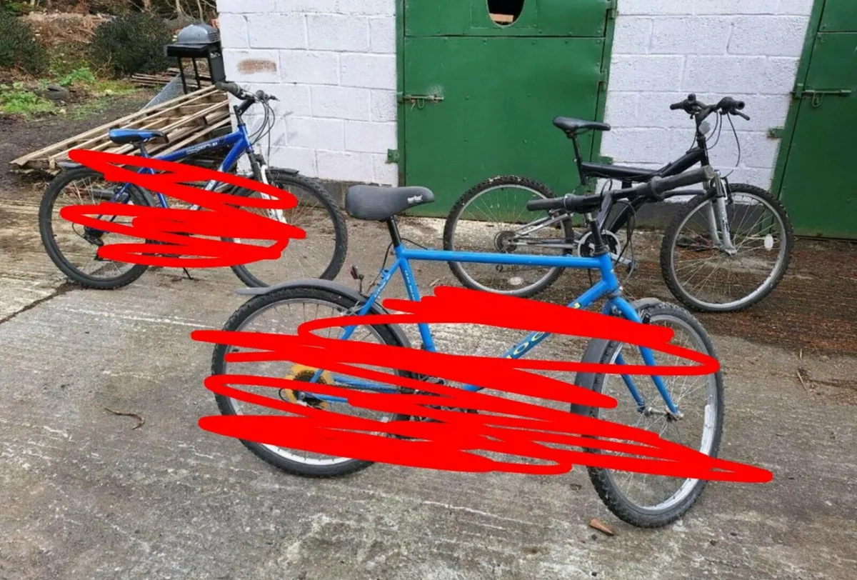 Black Mountain bike