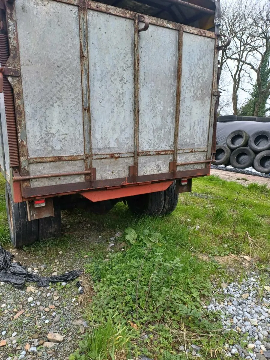 Cattle trailer - Image 4