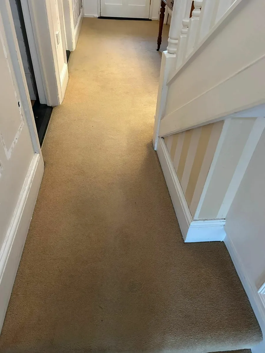 Hall Carpet - Image 2