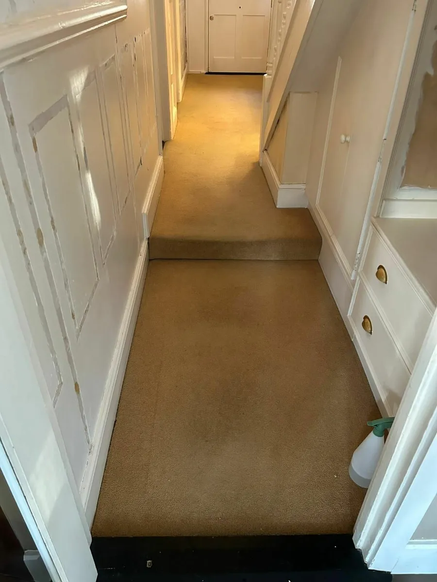 Hall Carpet - Image 3