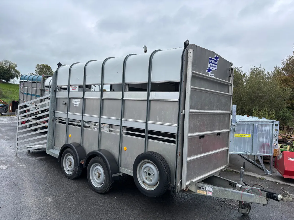 ifor williams ta510 12ft x 7ft headroom - Image 3