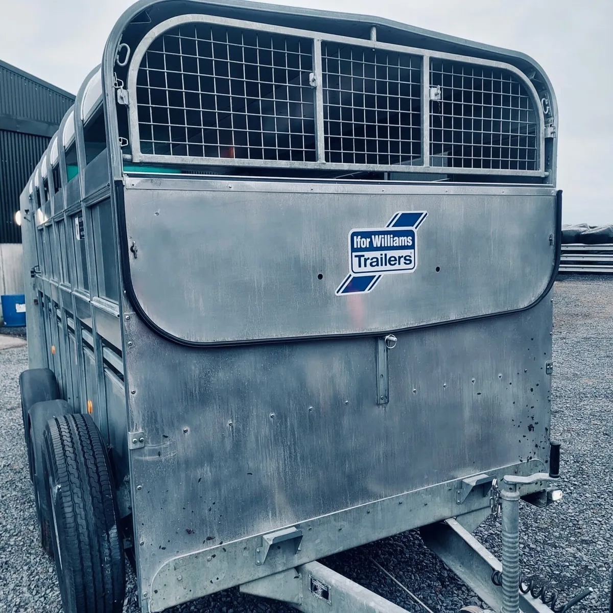 12 ft Ifor Williams cattle trailer - Image 1