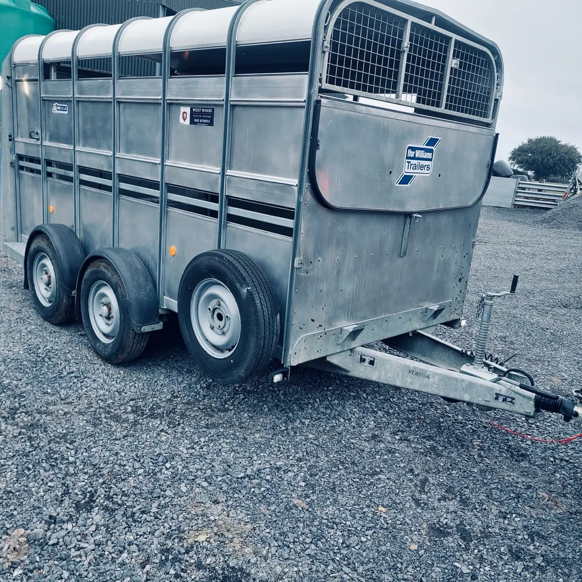 12 ft Ifor Williams cattle trailer - Image 2
