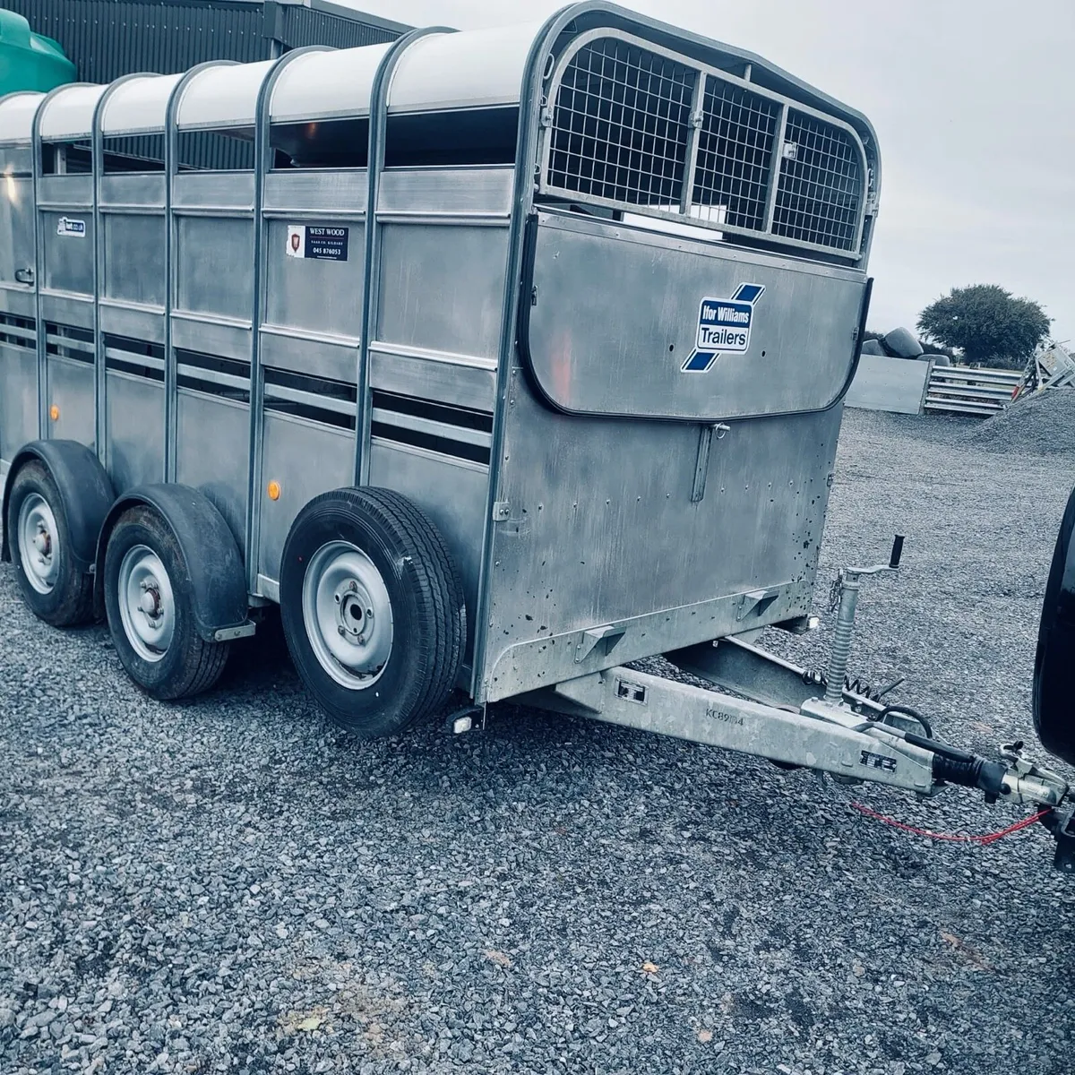 12 ft Ifor Williams cattle trailer - Image 3