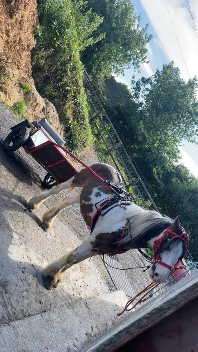 Road cart - Image 4