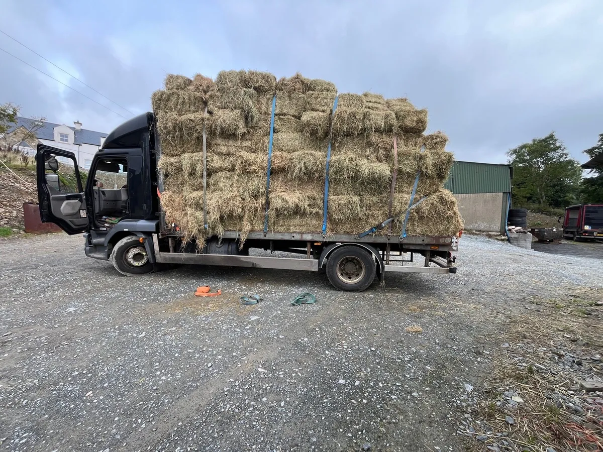Small bales of top quality also round bales - Image 1