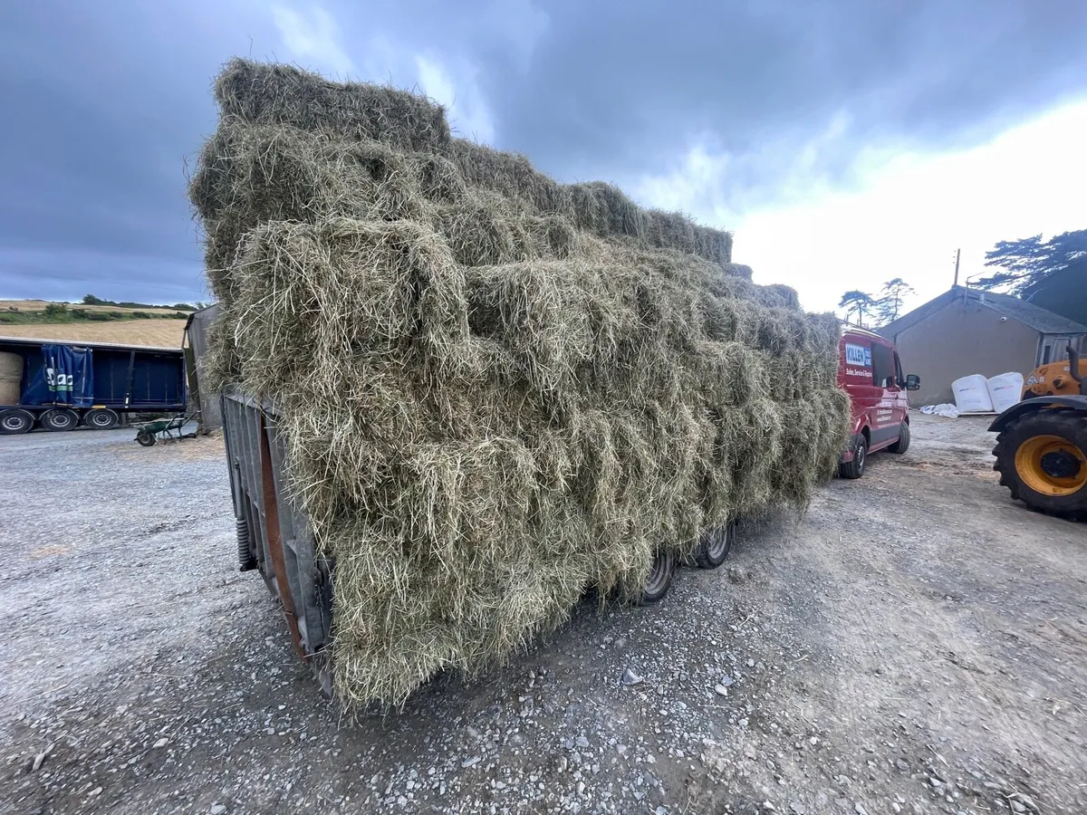 Small bales of top quality also round bales - Image 2