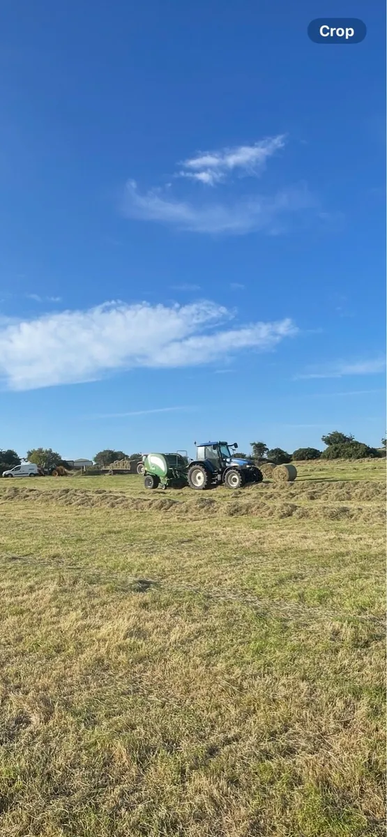 Small bales of top quality also round bales - Image 3