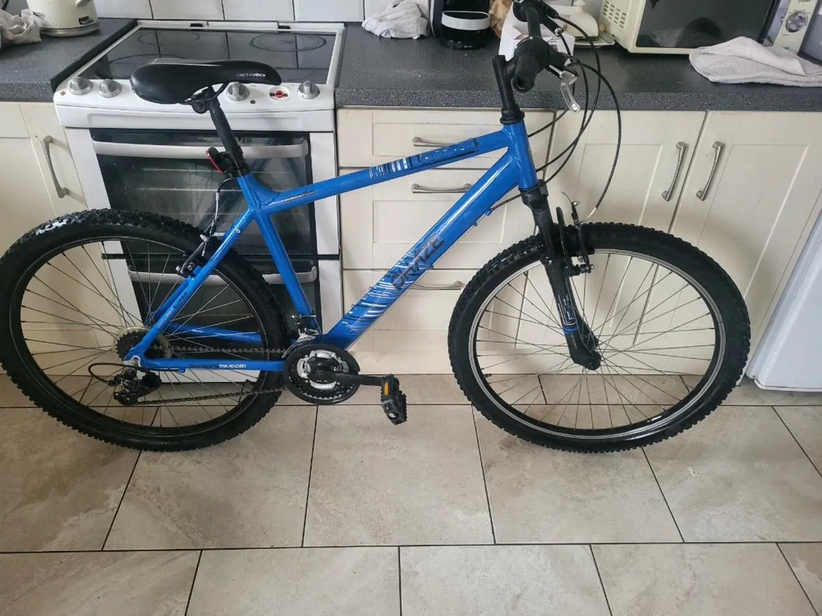 Bike - Image 1