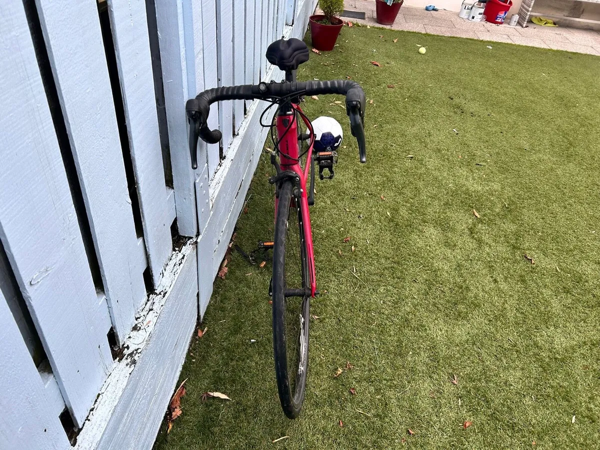 Women’s Trek Road Bike - Image 3