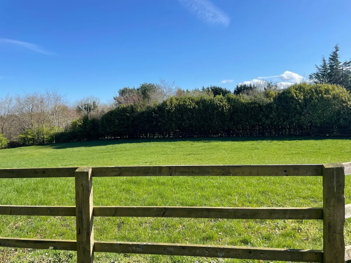Grazing for horses/ broadmares - Image 2