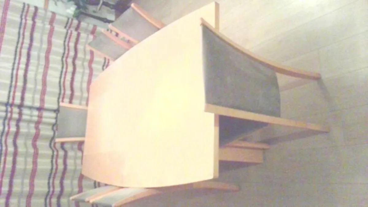 Skovby Table and 10 chairs - Image 4