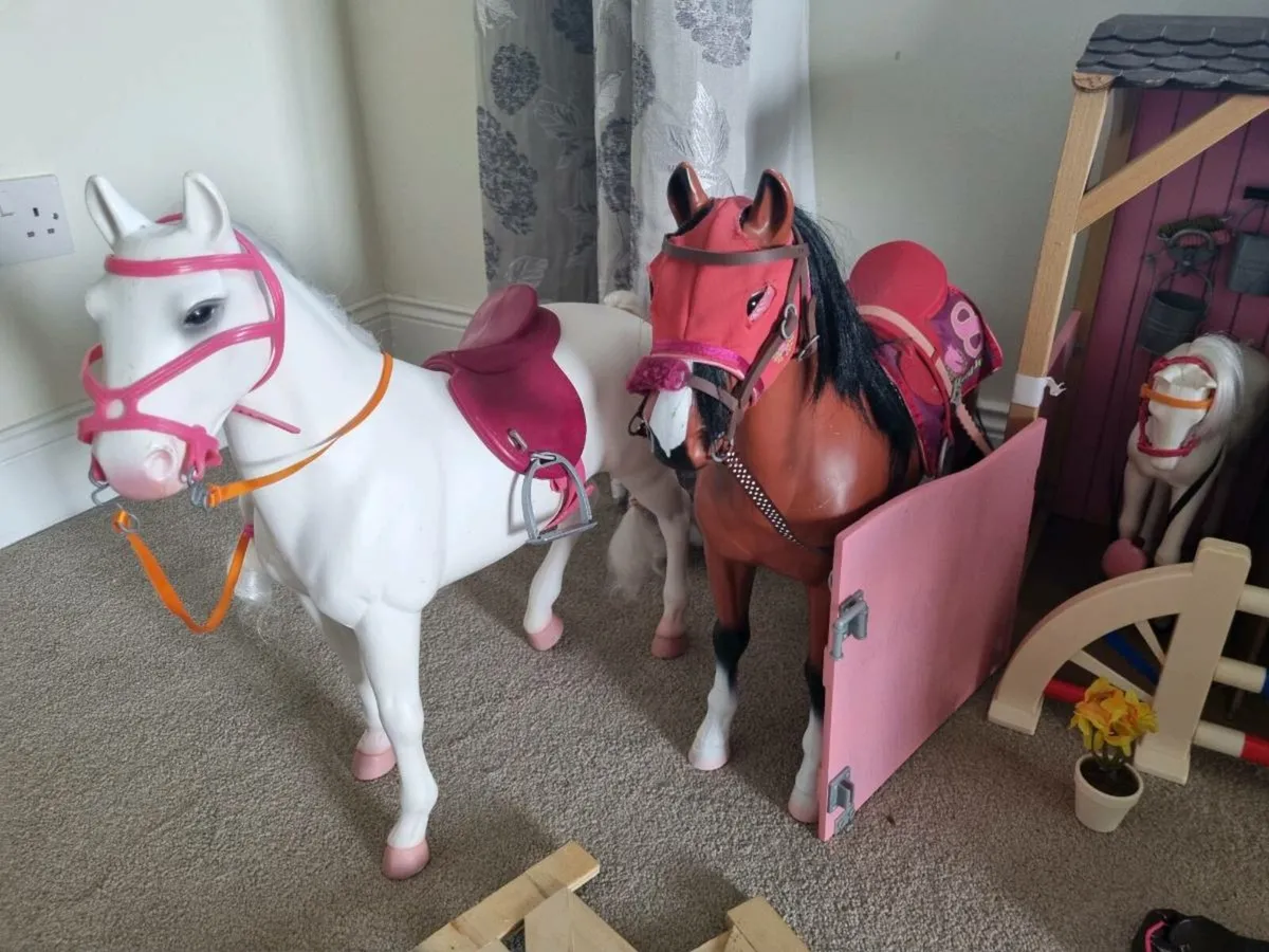 Our Generation Stables, horses and Jockey - Image 4