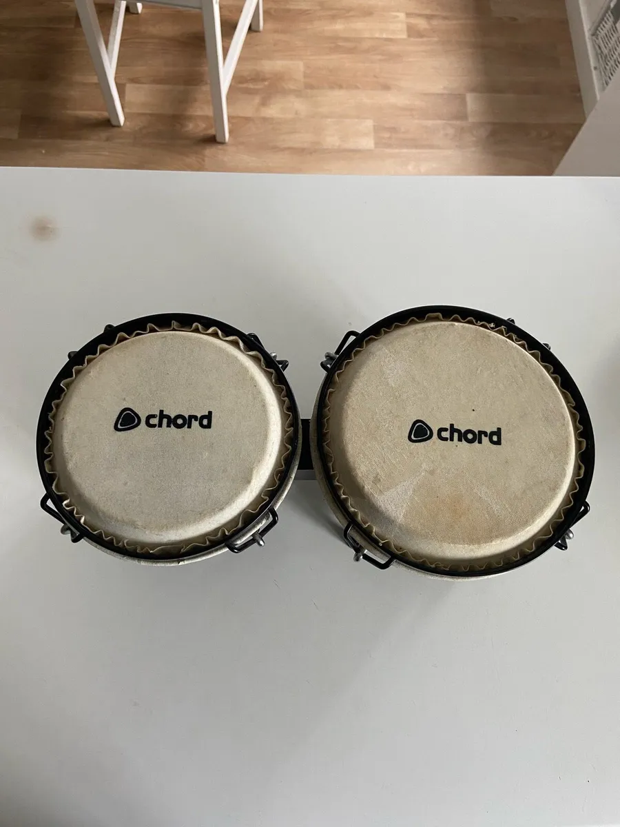 Bongos - Image 1