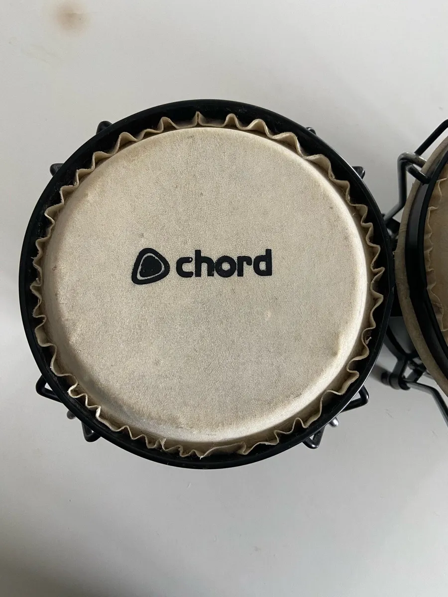 Bongos - Image 3