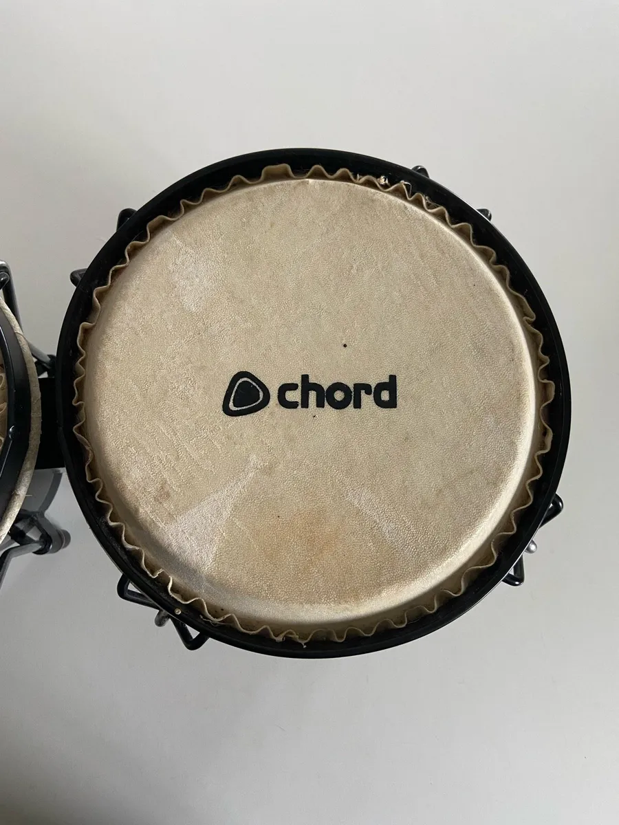 Bongos - Image 4