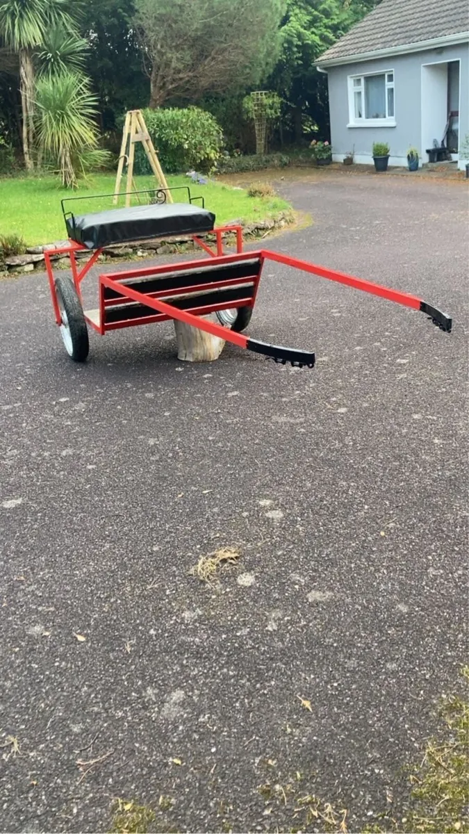 Speed cart - Image 3