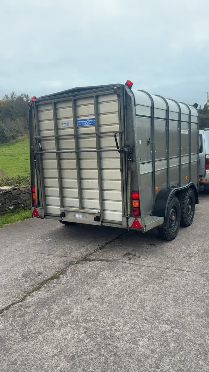Ifor Williams Cattle / sheep Trailer - Image 3