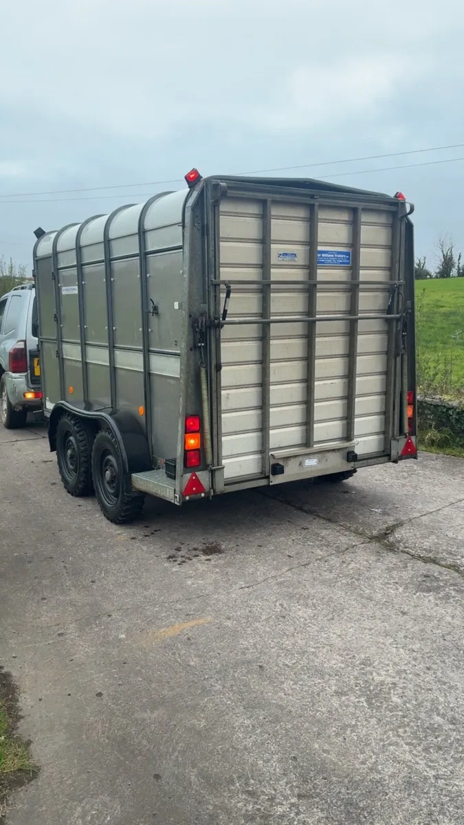 Ifor Williams Cattle / sheep Trailer - Image 4