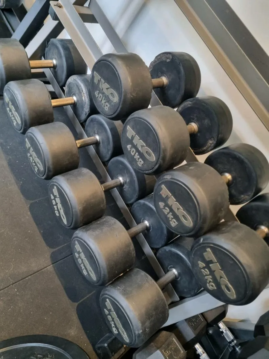 Heavy dumbbells and rack - Image 2