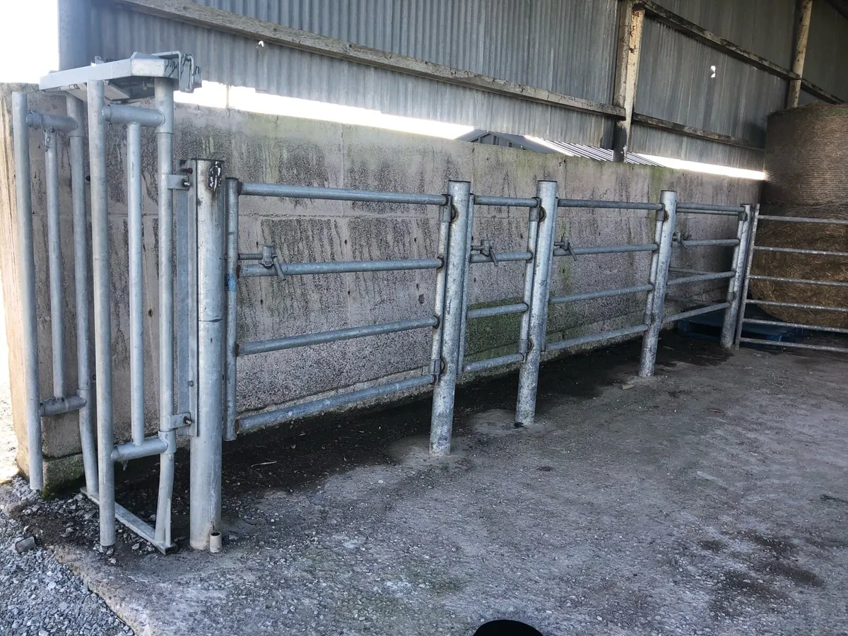 Cattle Crush - Image 1