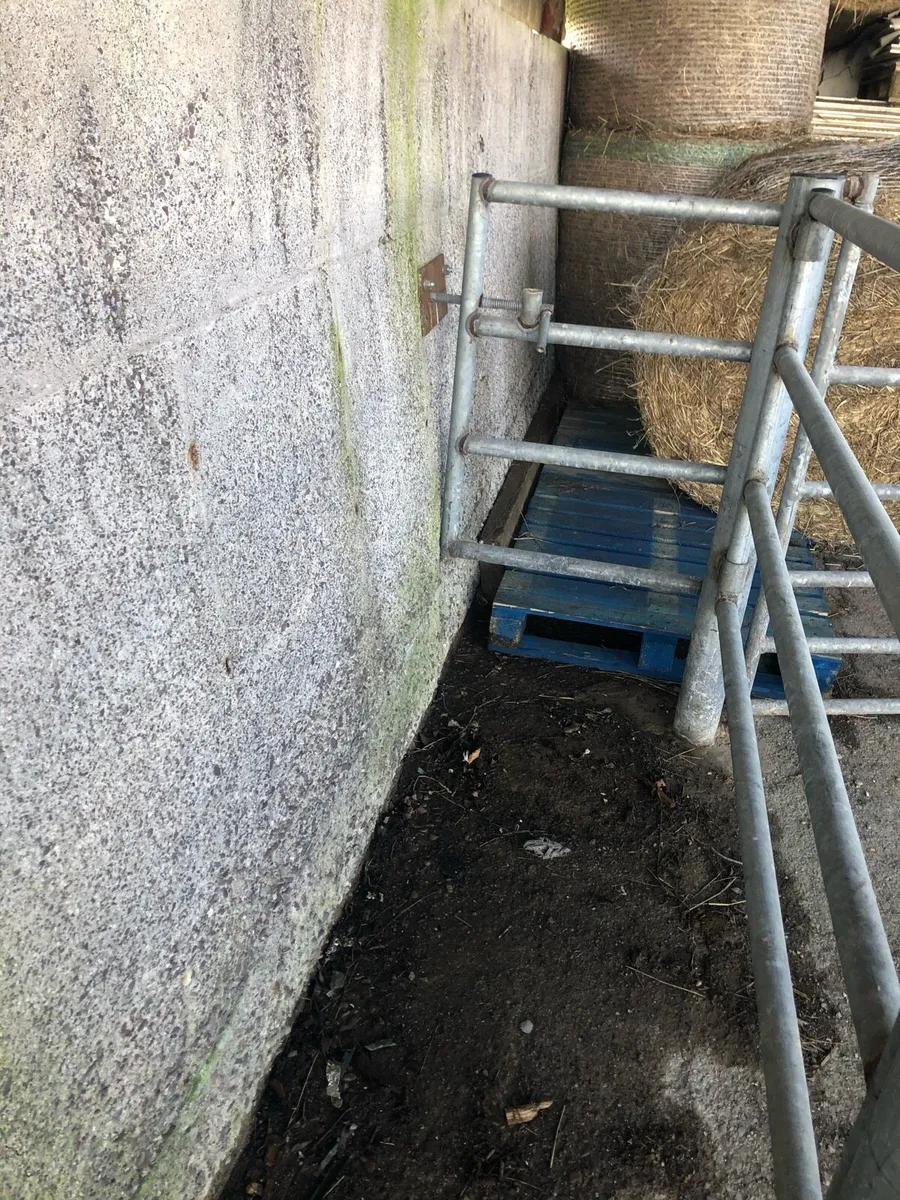 Cattle Crush - Image 4