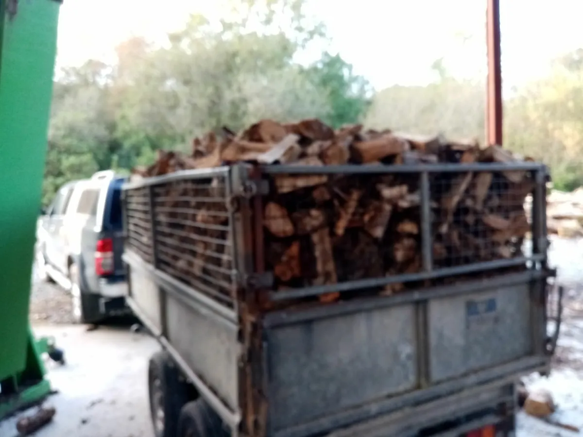 Firewood - Image 1